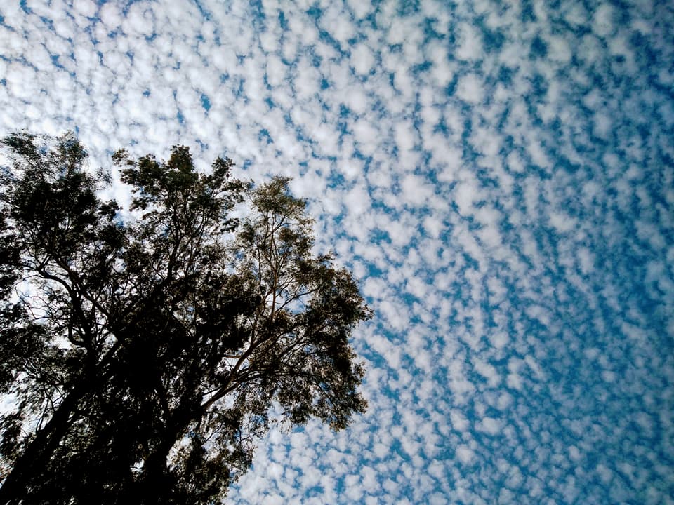 Trying to say hello to y’all but the twins have a different&nbsp;idea..